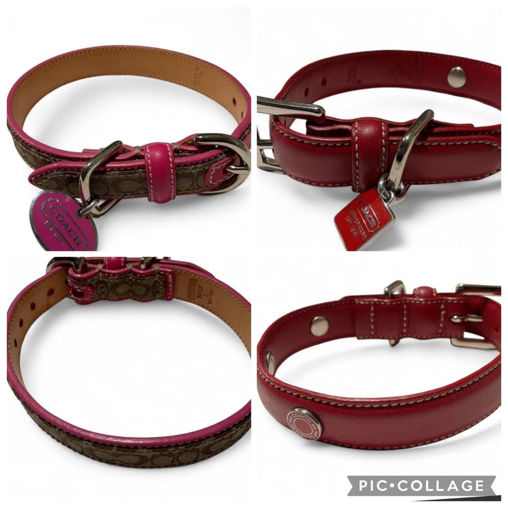 Coach dog collars